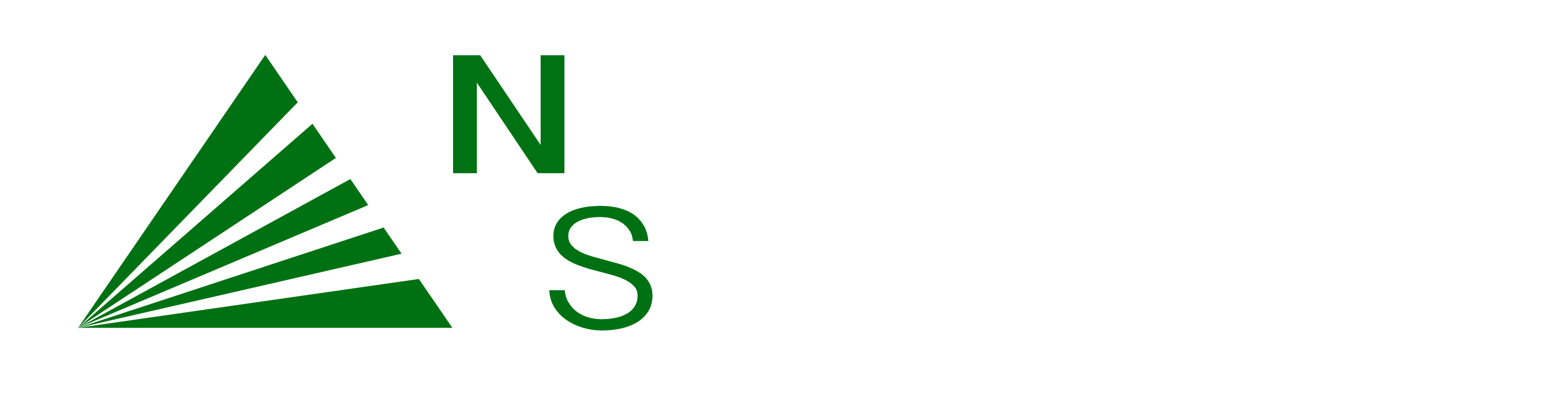 Logo der Firma Nordic Systems